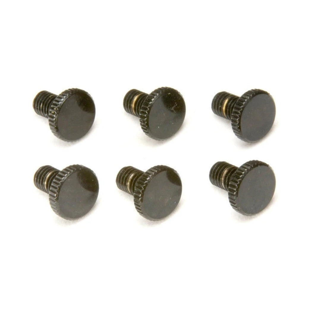 Floyd Rose Original Fine Tuner Screws