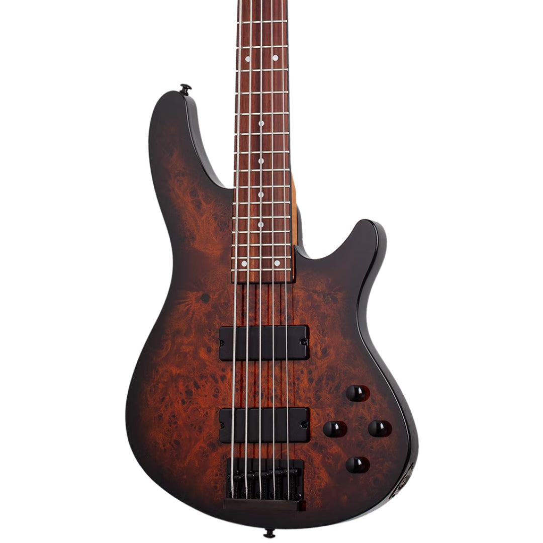Schecter C-5 Standard
