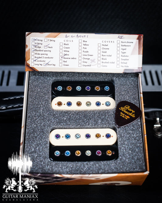 Bare Knuckle Warpig 6 String Set