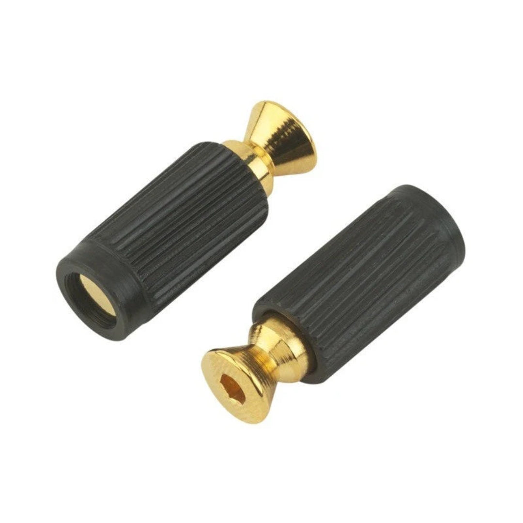 Floyd Rose Original Bridge Mounting Studs and Inserts Gold