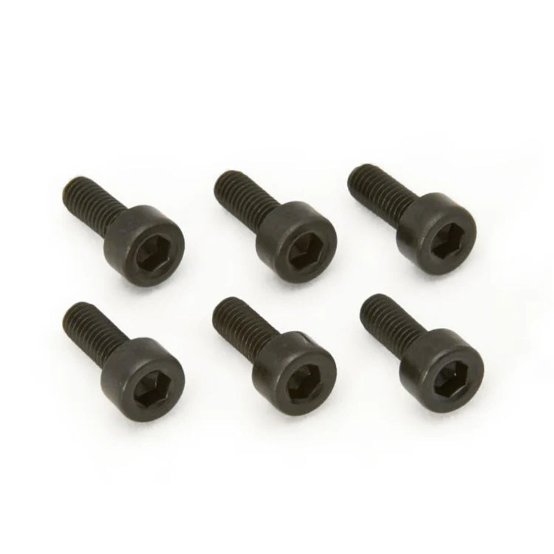 Floyd Rose Original Saddle Mounting Screw