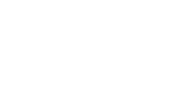 Guitar Maniax