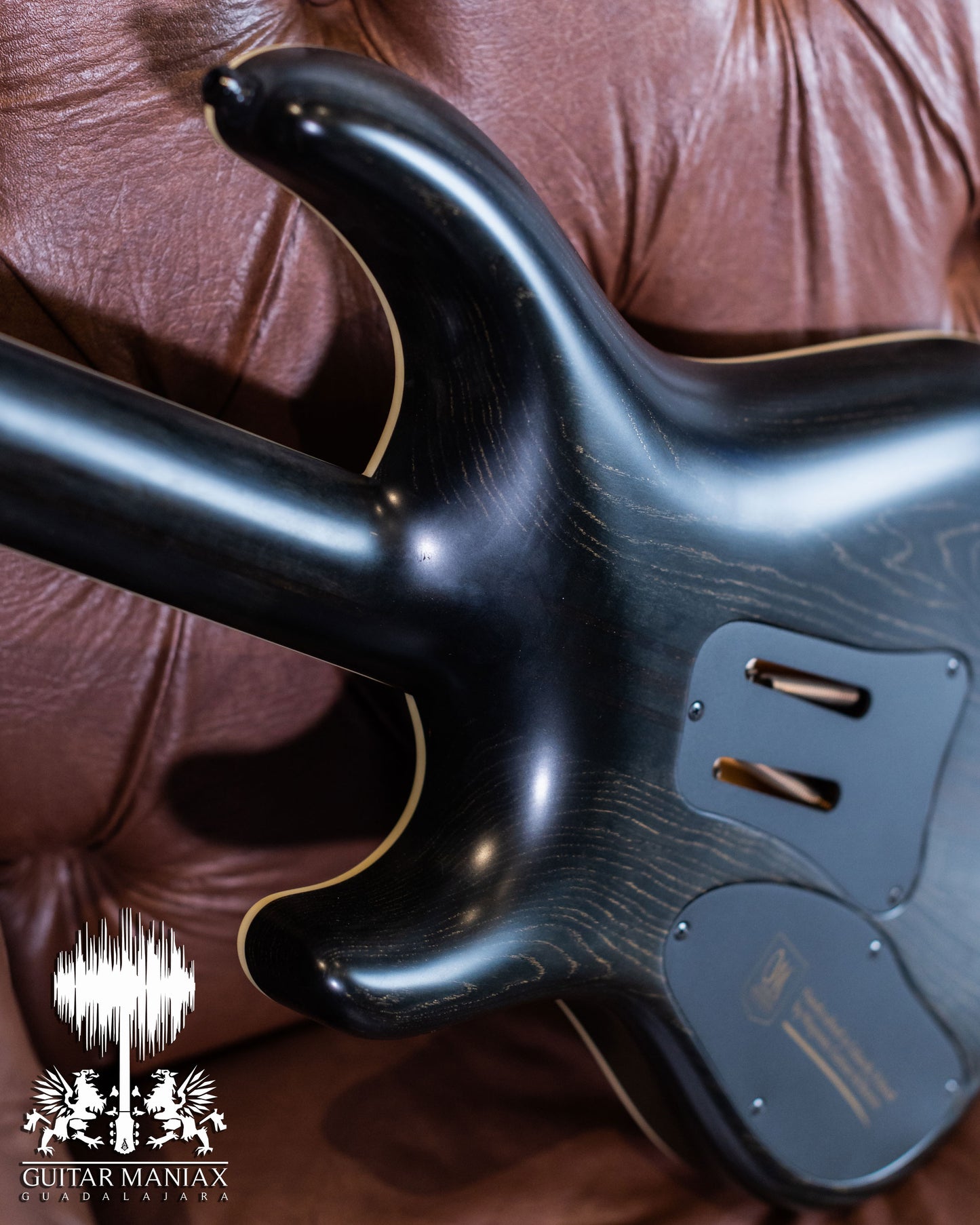 Mayones Regius PRO 6