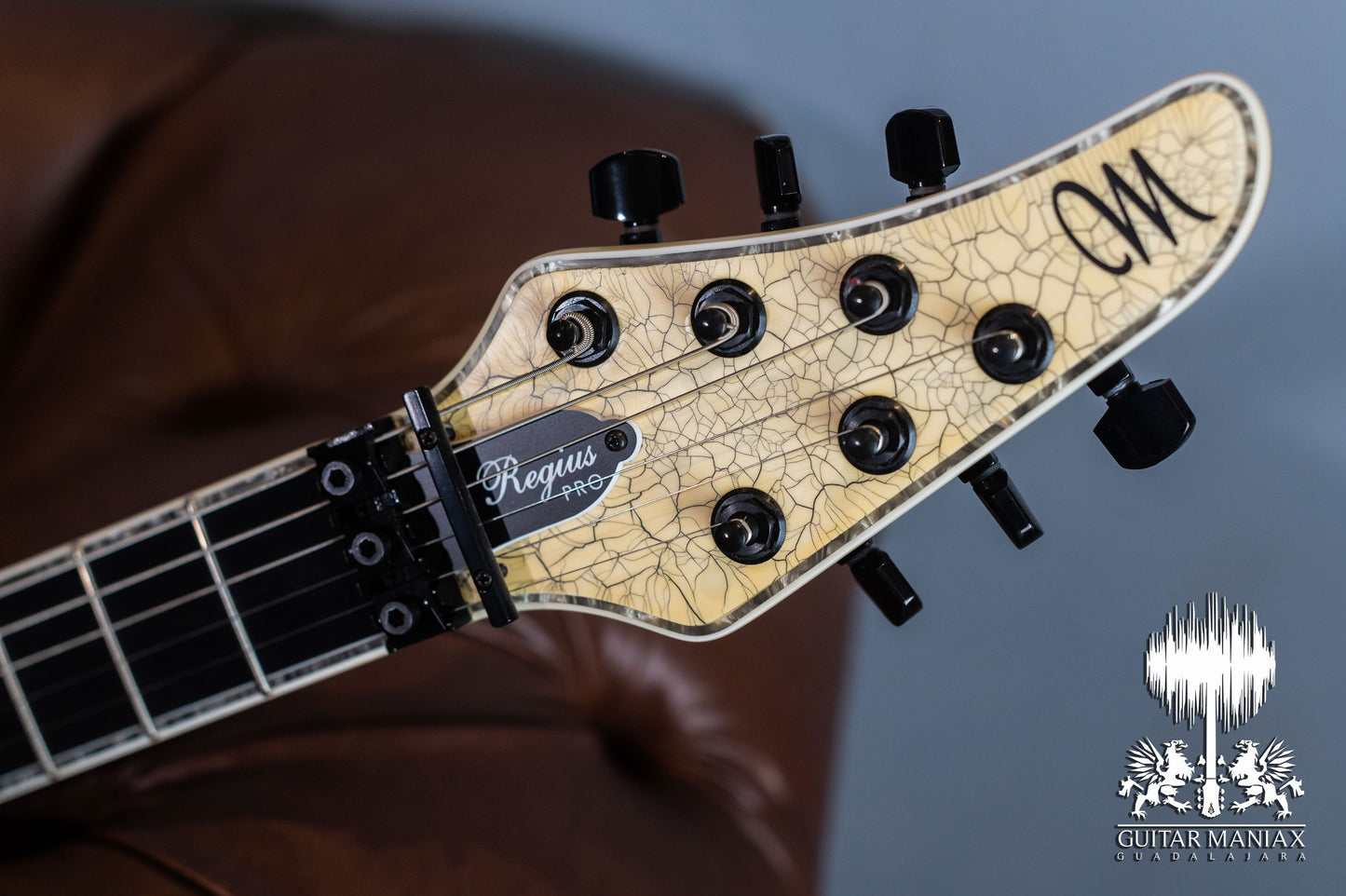 Mayones Regius PRO 6