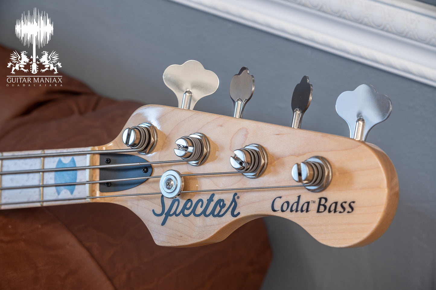 Spector USA Coda DLX # 138