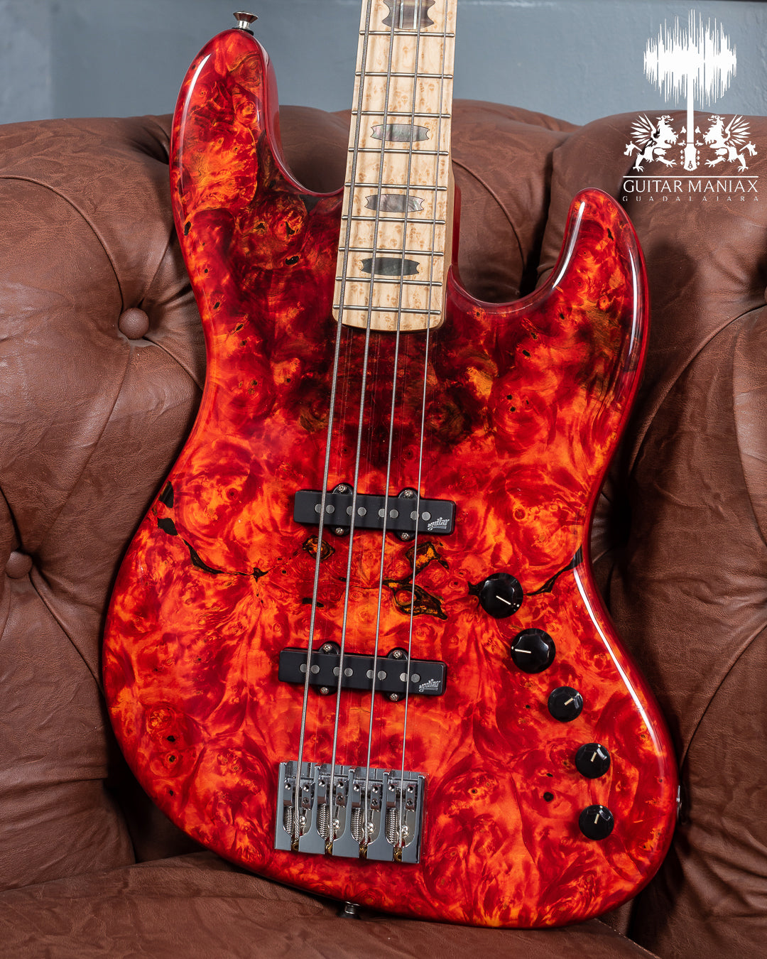 Spector USA Coda DLX # 138