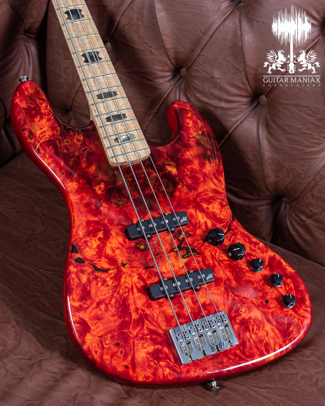 Spector USA Coda DLX # 138