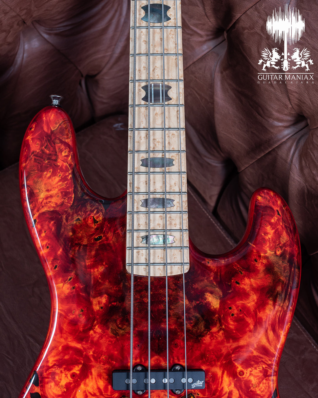 Spector USA Coda DLX # 138