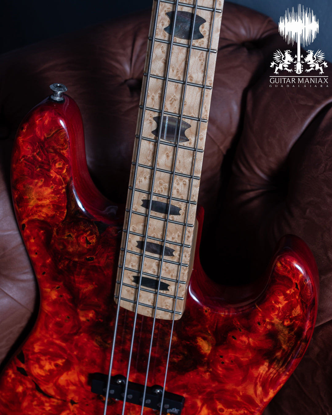 Spector USA Coda DLX # 138