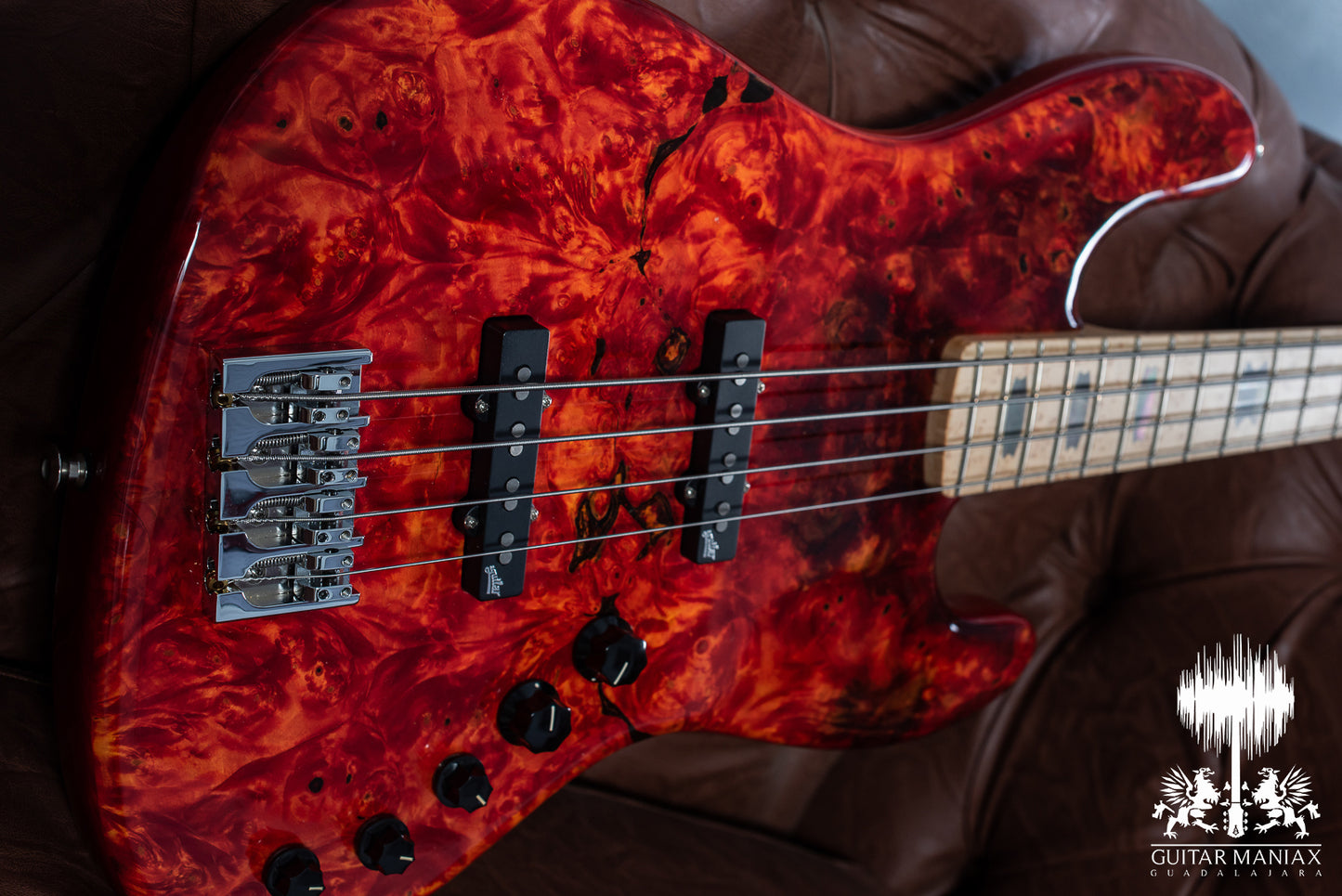 Spector USA Coda DLX # 138