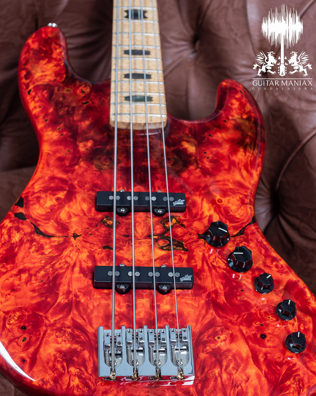 Spector USA Coda DLX # 138